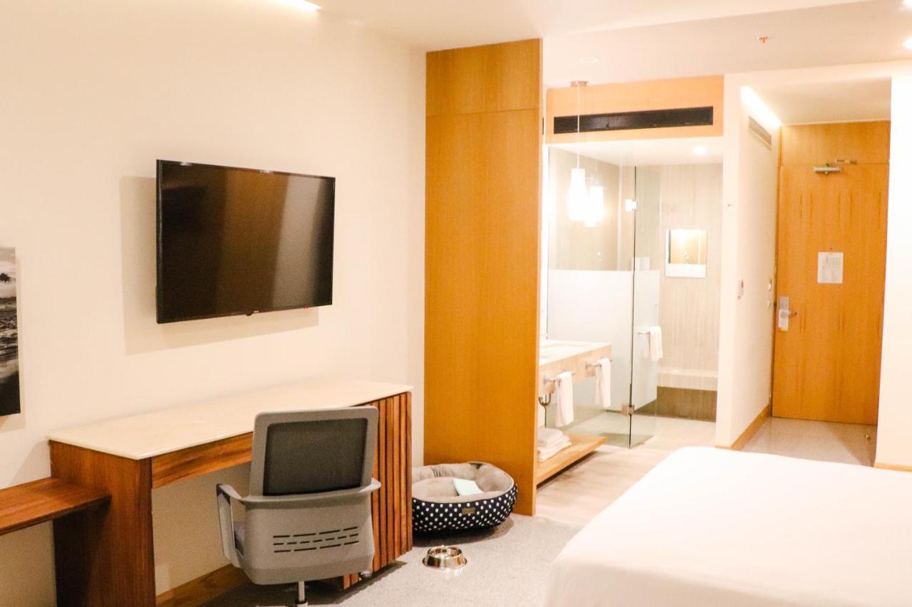 Hotel Mio Vallarta Unique & Different- Adults Only Puerto Vallarta Luaran gambar A room at the hotel